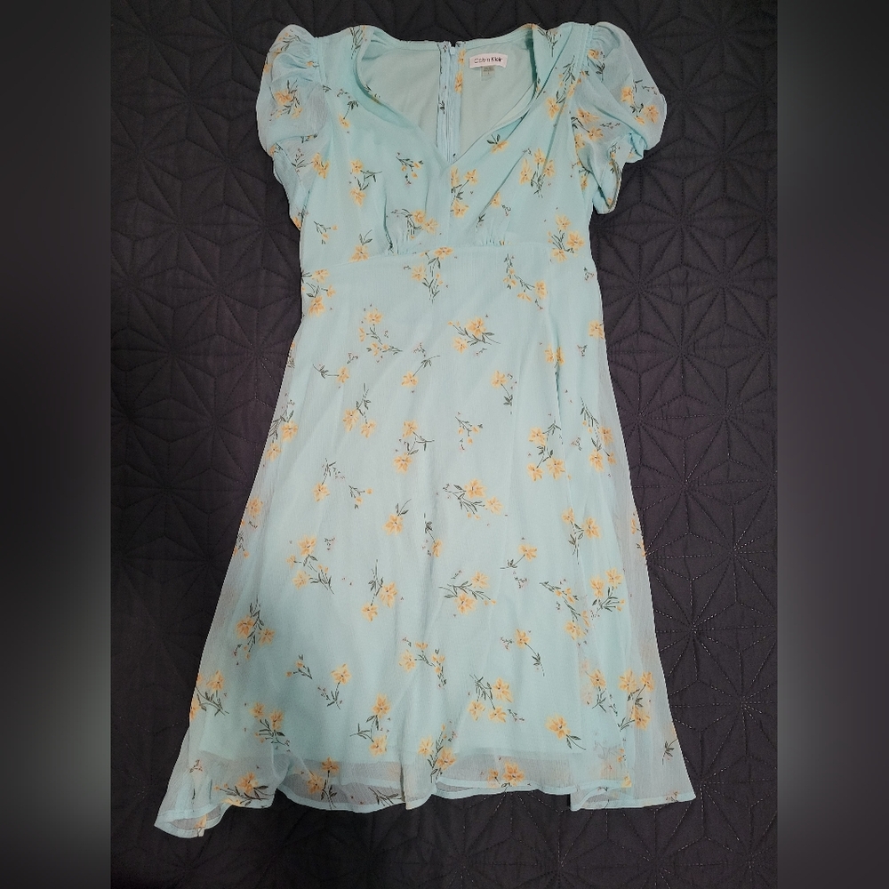 CALVIN KLEIN Floral Print Chiffon Dress In Pale Aqua